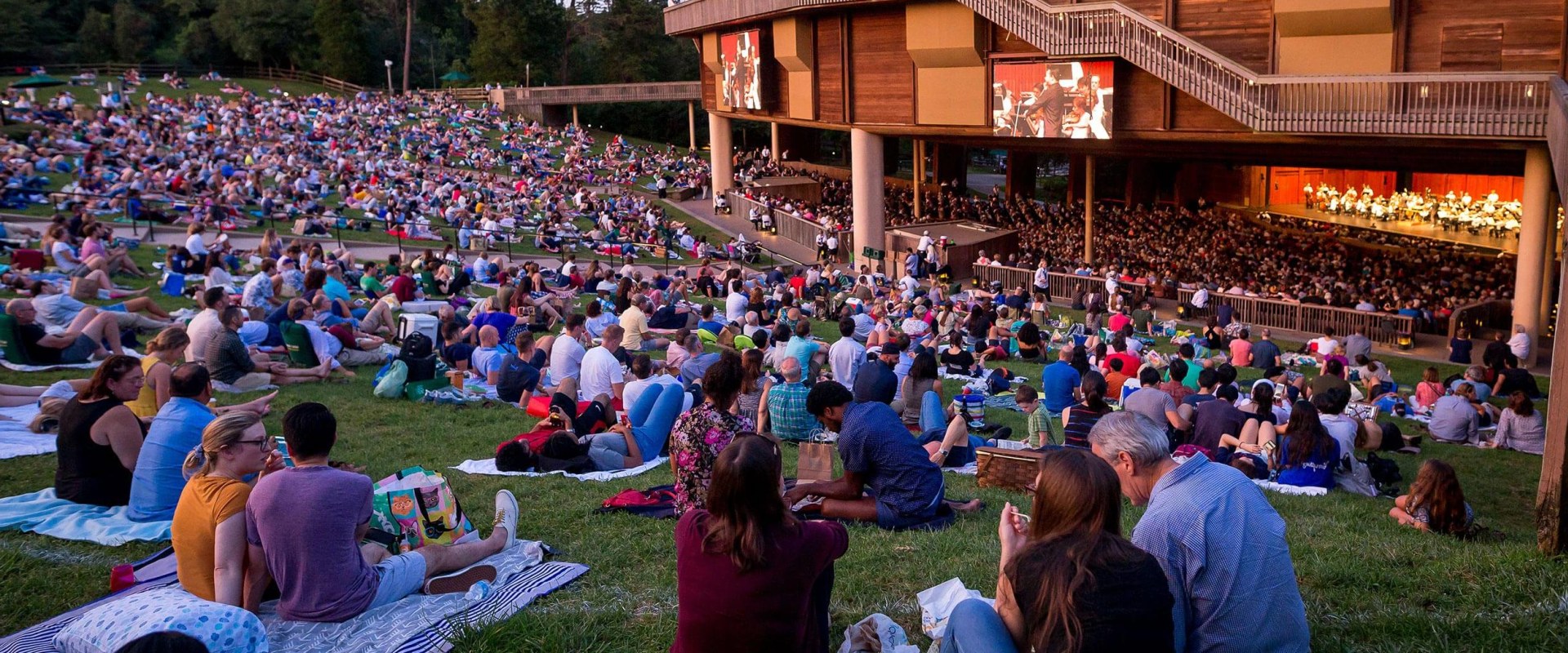 Where to Find Friends and Community in Northern Virginia