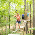 Exploring the Great Outdoors in Northern Virginia