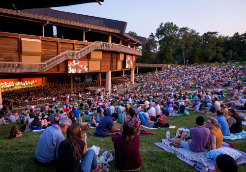 Where to Find Friends and Community in Northern Virginia