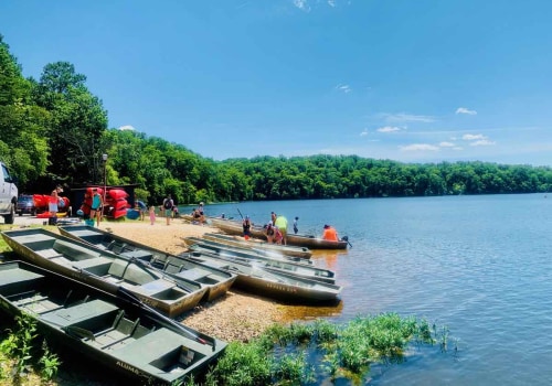 Exploring the Best Events in Northern Virginia