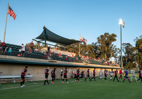 What are the Most Popular Sports Teams in Northern Virginia's Community?